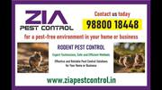 Rodent Control Treatment | Appartments & school Specil Discount | 60